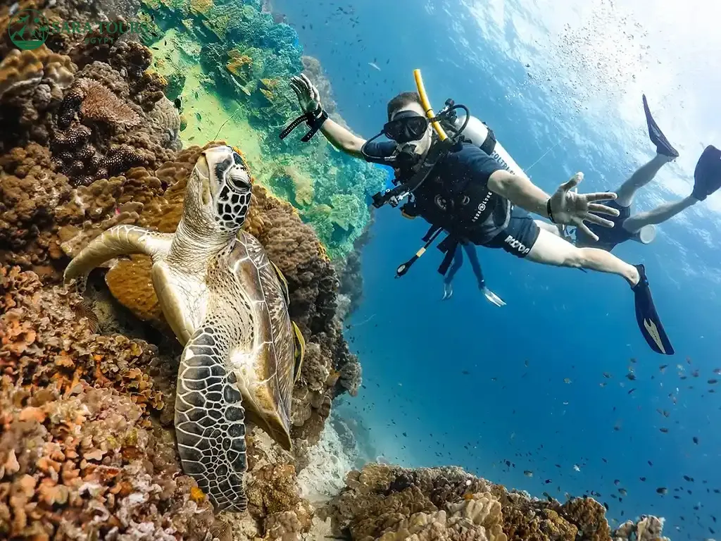 Scuba Diving Trip in Hurghada
