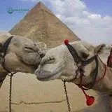 Mini Cairo