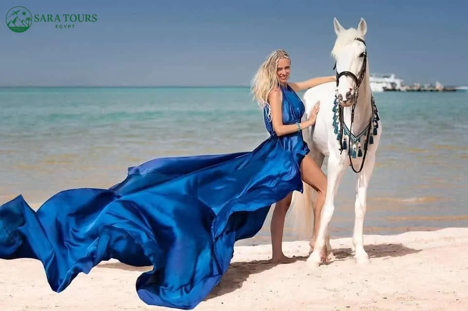 Horseback riding with swimming in the sea