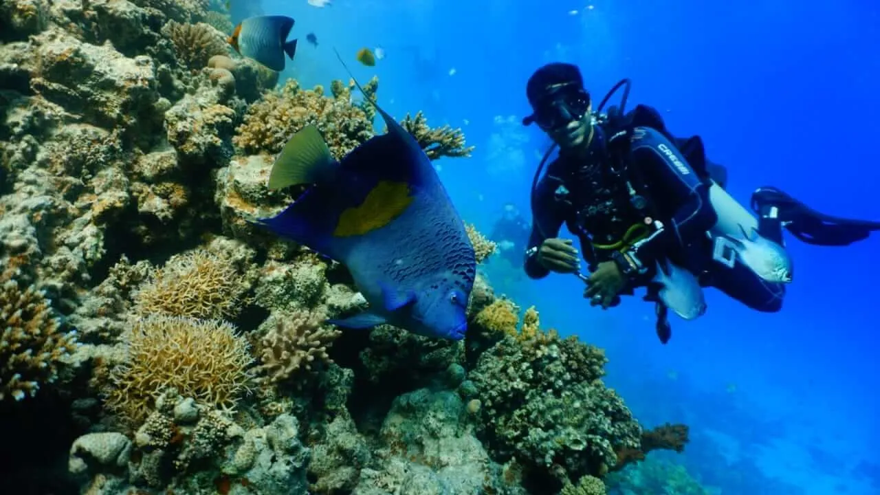 Scuba Diving Trip in Hurghada